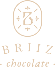 Briiz